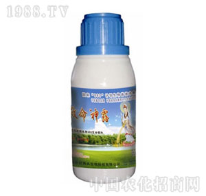 ����-ϡ��������¶