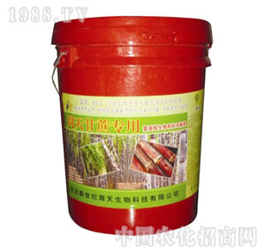 ����-����_ʩ��