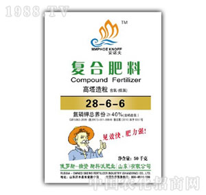 ����-���Z���Ȼ�28-6-6