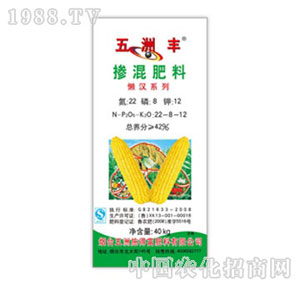 �����S-42%�������