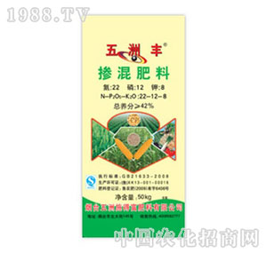 �����S-42%�������