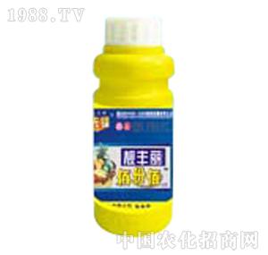 ̽·���h-�n�S��