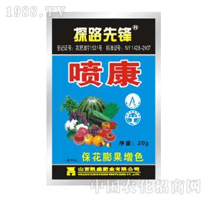 ̽·���h-�������������ɫ