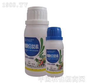 ����-��(x��)��������