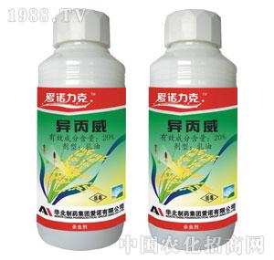 ���Z-20%����������