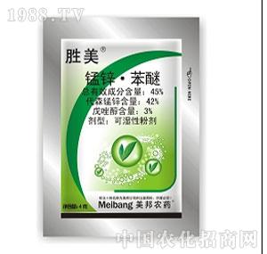 ����ˎ�I(y��)-����