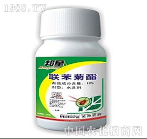 ����ˎ�I(y��)-����