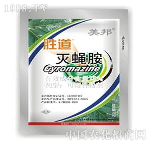 ����ˎ�I(y��)-�ٵ�