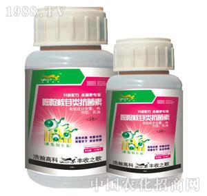 ���-��ऺ������