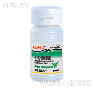 ���՘�(l��)-������