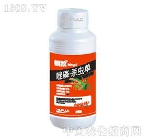 ���՘�-���ך��x��