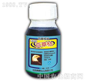 ��¶-�|�������Գ��݄�