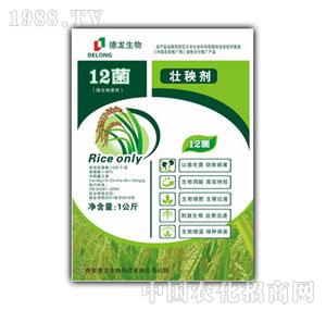 ����-12�����턩