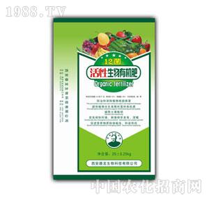 ����-12�����������ЙC(j��)��