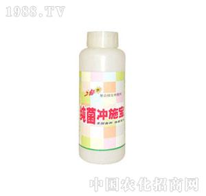 ����-�����_ʩ��