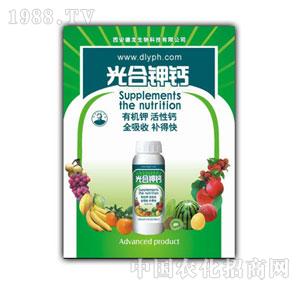 ����-�����}