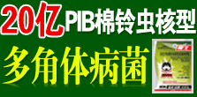 �����¹چ̵��r(n��ng)�I(y��)�Ƽ����޹�˾���{����