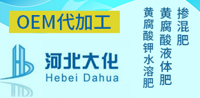 河北大化肥業(yè)有限公司