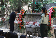 �𱬾W(w��ng)���^�S���ь�܊�ʾ����錢܊���I���@��