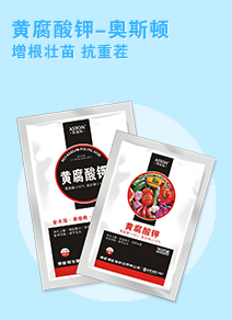 �W˹�D����Ƽ����޹�˾